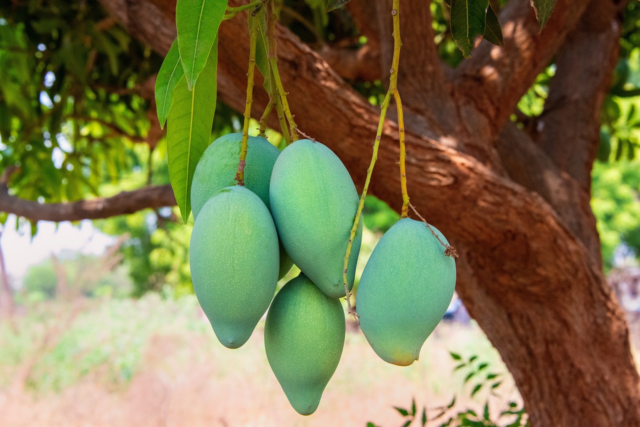 The children of a tree